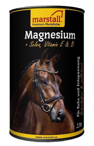 Marstall Magnesium Piano 
