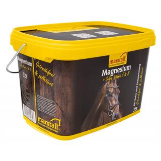 Marstall Magnesium Piano