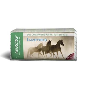 Agrobs Lucerne +