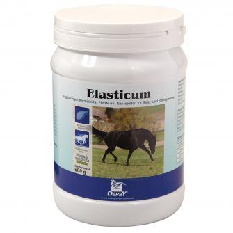 Derby Elasticum