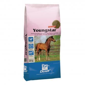 Derby Youngstar