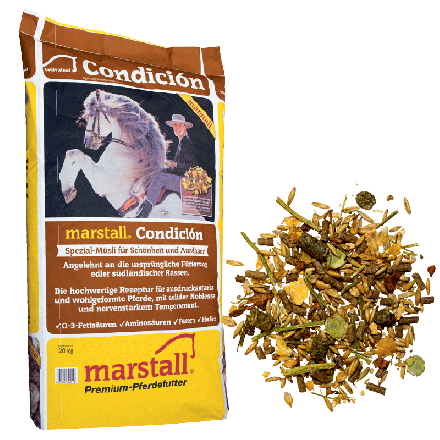 Marstall Condicion