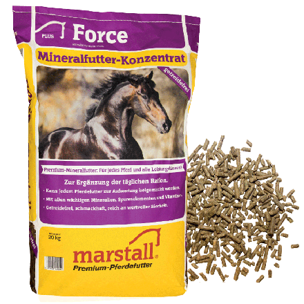 Marstall Force