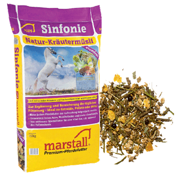 Marstall Sinfonie