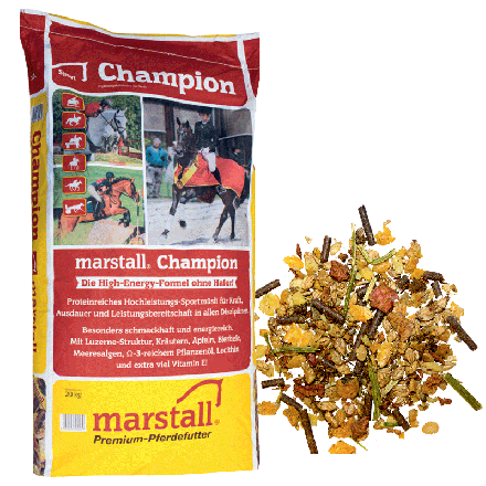 Marstall Champion